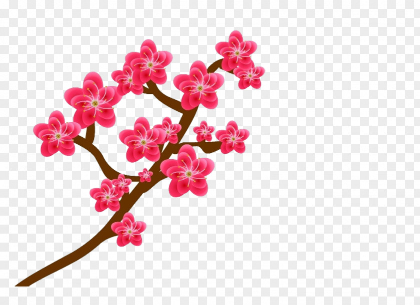 Plum Pictures Blossom Flower PNG