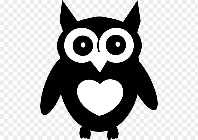 White Owl Cliparts Cartoon Drawing Clip Art PNG