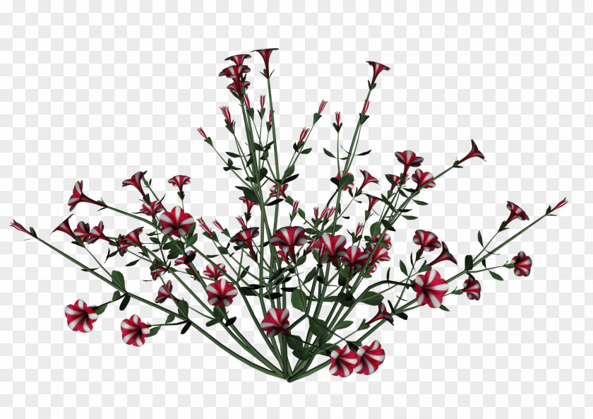 Branch Flower Clip Art Openclipart Petunia Desktop Wallpaper PNG