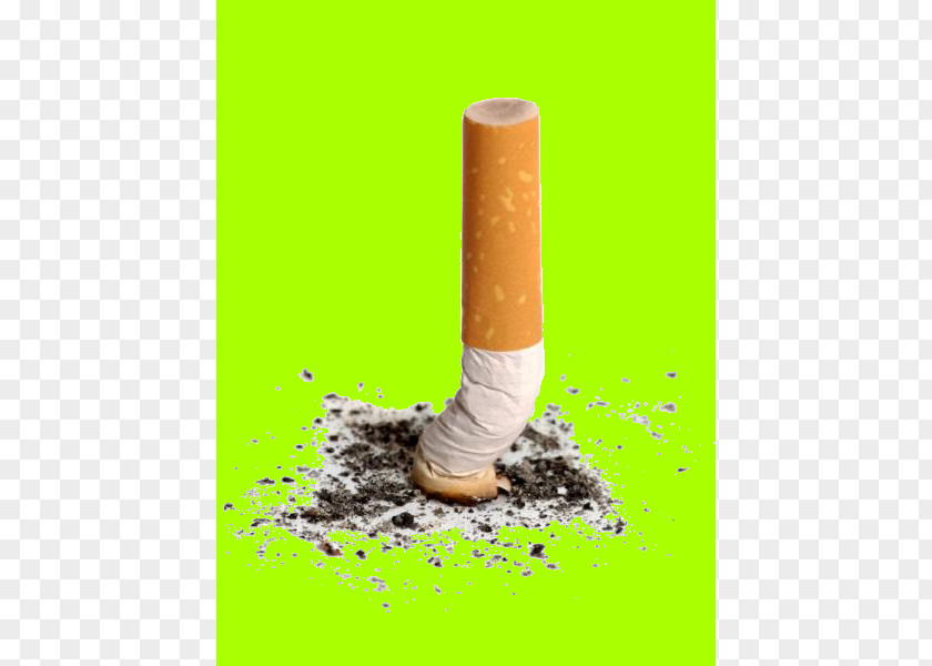 Cigarette Menthol Tobacco Smoking PNG