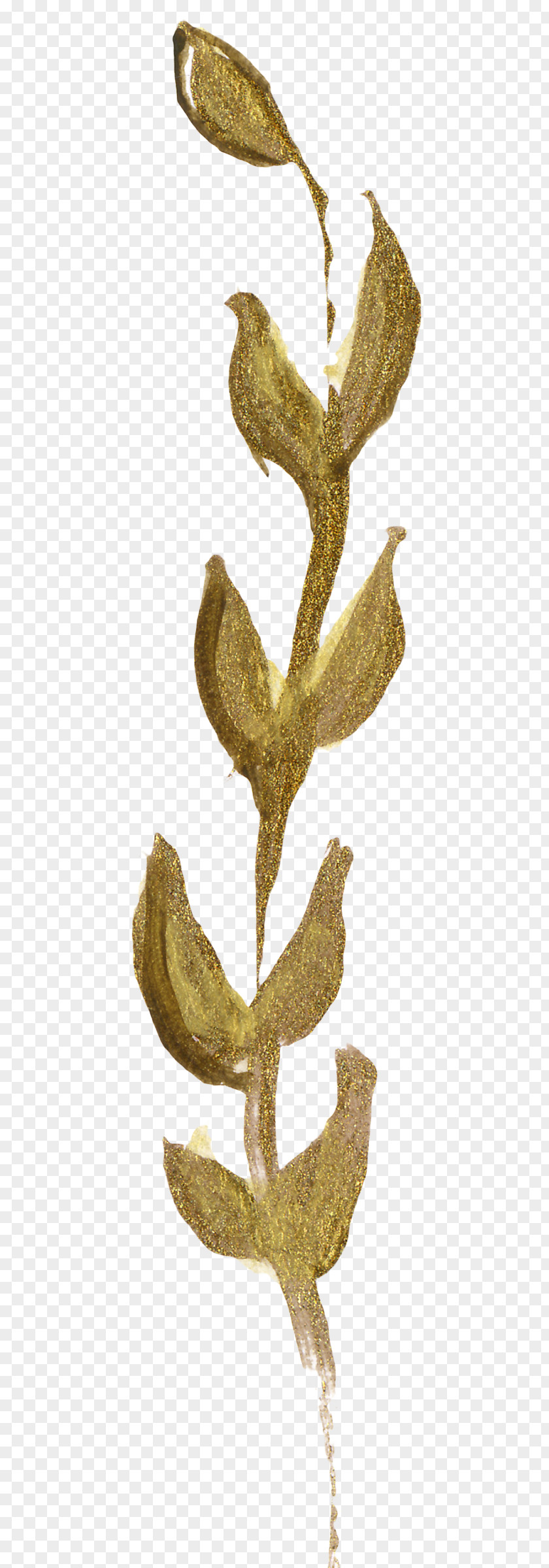 Golden Foil Made Wheat Gold Leaf Aluminium PNG