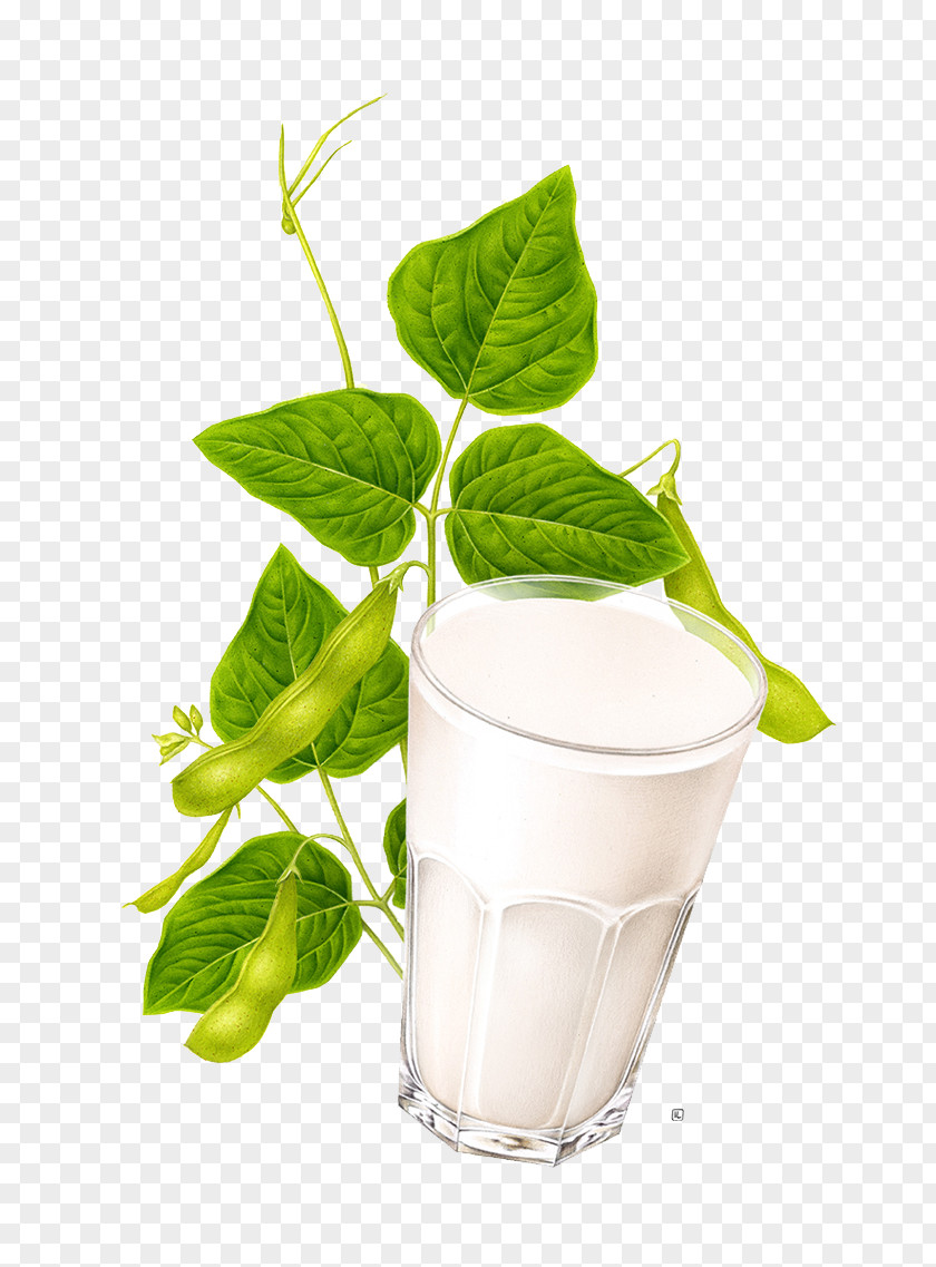 Milk, Green Leaf Material Lentils Milkshake Soy Milk Health Shake Nectar PNG