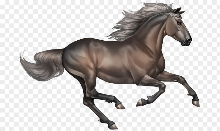 Smoky Mestengo: A Wild Mustang, Writer On The Run, And Power Of Unexpected Clip Art PNG