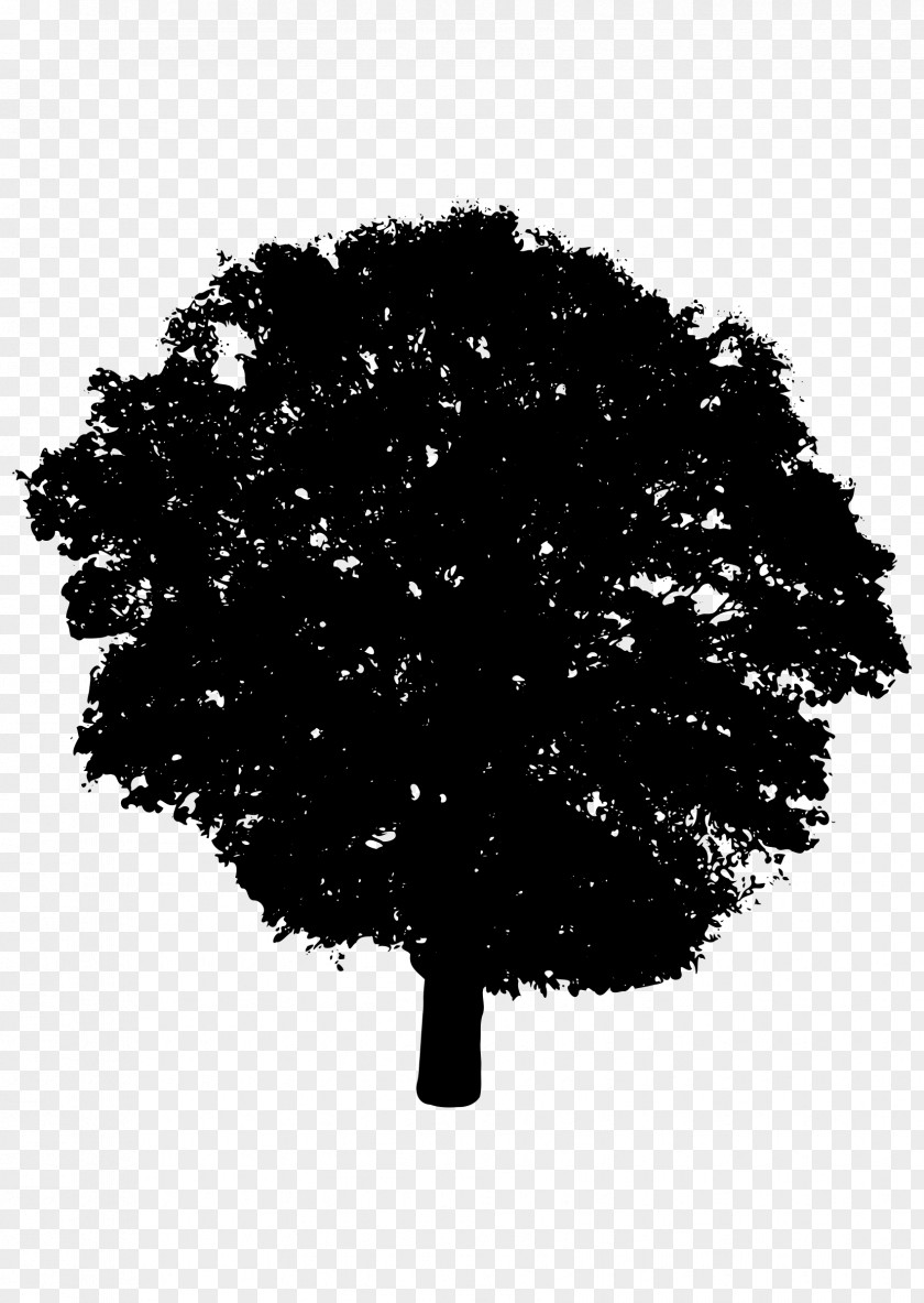 Tree Vector Silhouette Shrub Clip Art PNG