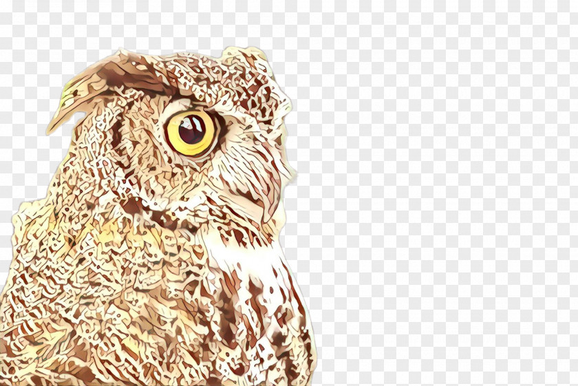Great Grey Owl Horned Bird Of Prey Western Screech Eastern PNG