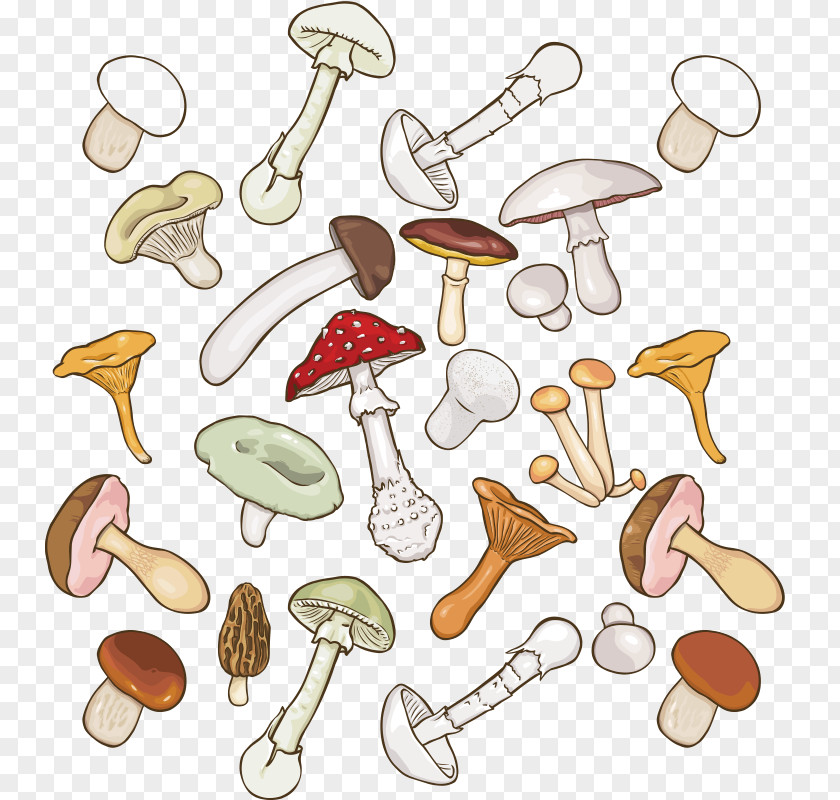 Mushroom,fungus Mushroom Fungus Clip Art PNG