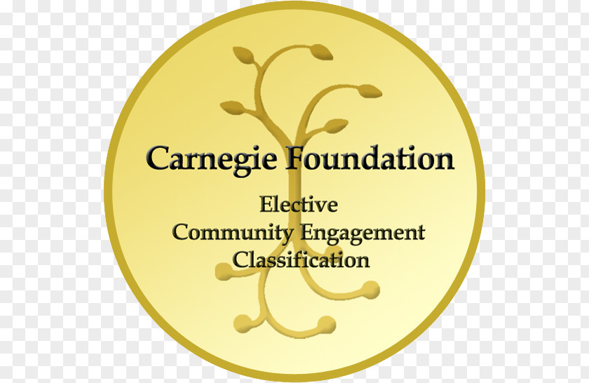 National Parkinson Foundation Ohio East Carolina University Indiana – Purdue Indianapolis Of South Florida St. Petersburg Brown Carnegie For The Advancement Teaching PNG