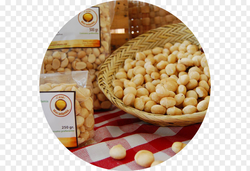 Oil Macadamia Ternifolia Vegetarian Cuisine Nut PNG