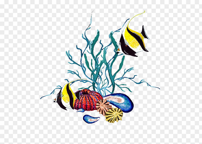 Pomacanthidae Butterflyfish Fish Coral Reef PNG