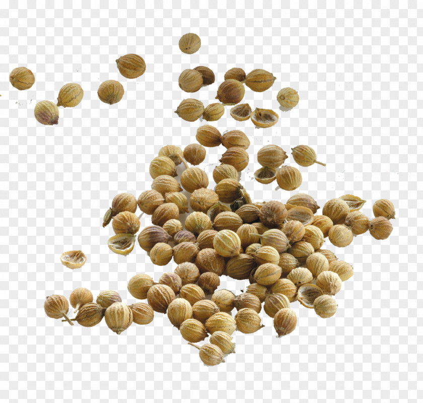 Seeds Coriander Seed Food Cumin Yogi Tea PNG