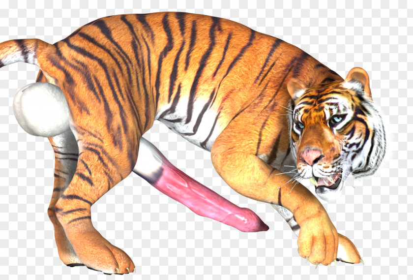 Tiger 3d Cat Wildlife PNG
