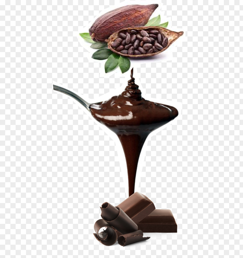 Chocolate Hot Cocoa Bean Criollo Solids Raw PNG