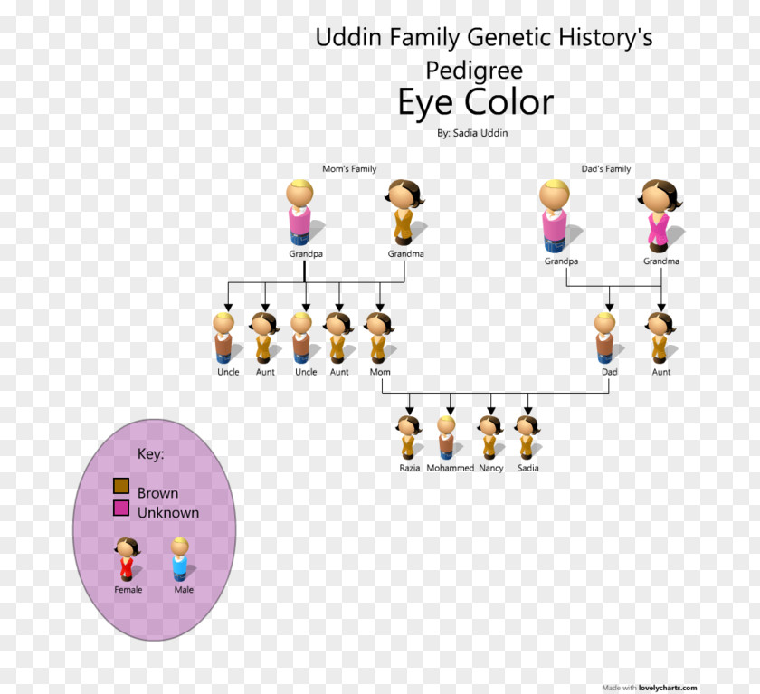 Eye Pedigree Chart Color Genetics PNG