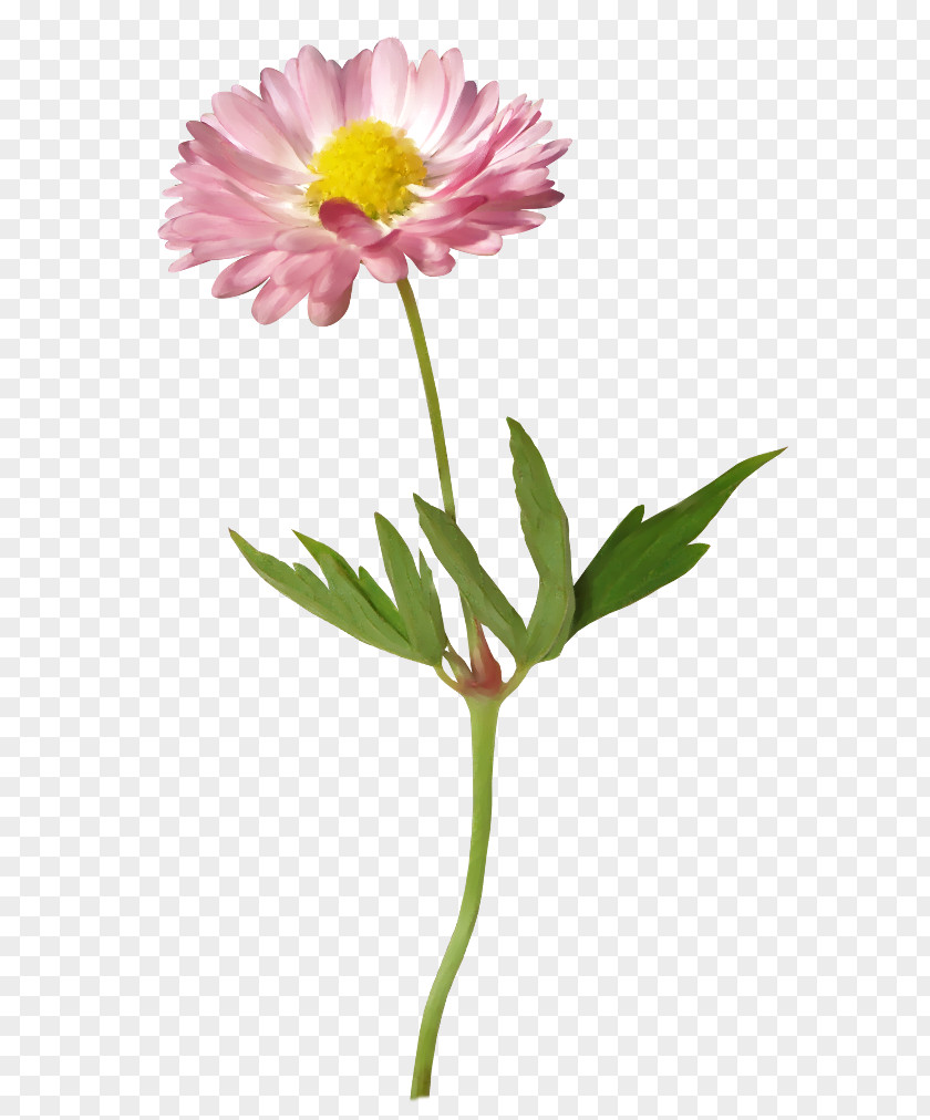 Flower Gerber Format Clip Art PNG