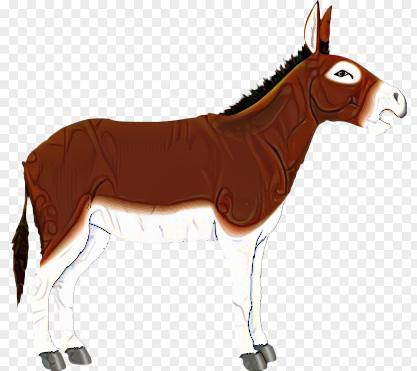 Mule Donkey Clip Art Free Content Image PNG