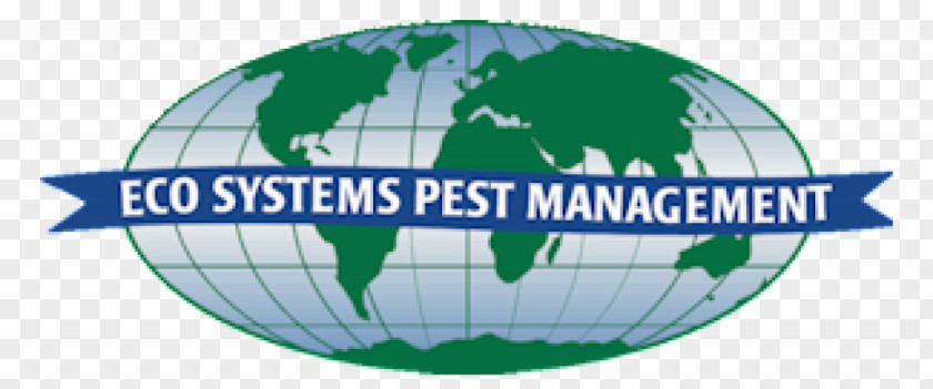 Rat ECO Systems Pest Management Control Bed Bug PNG