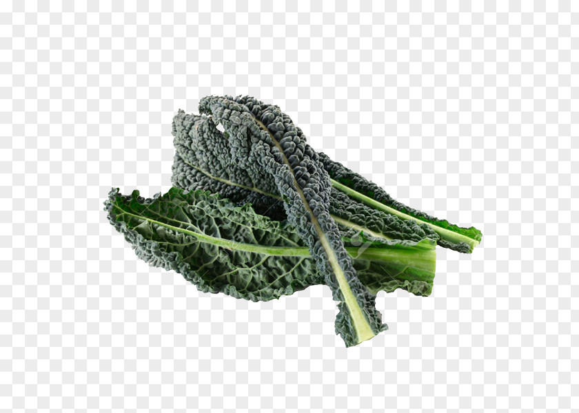 Vegetable Lacinato Kale Organic Food Leaf PNG
