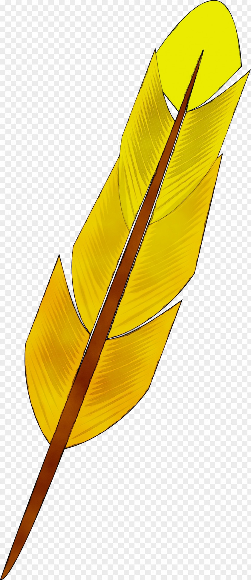 Writing Implement Feather Leaf Arrow PNG