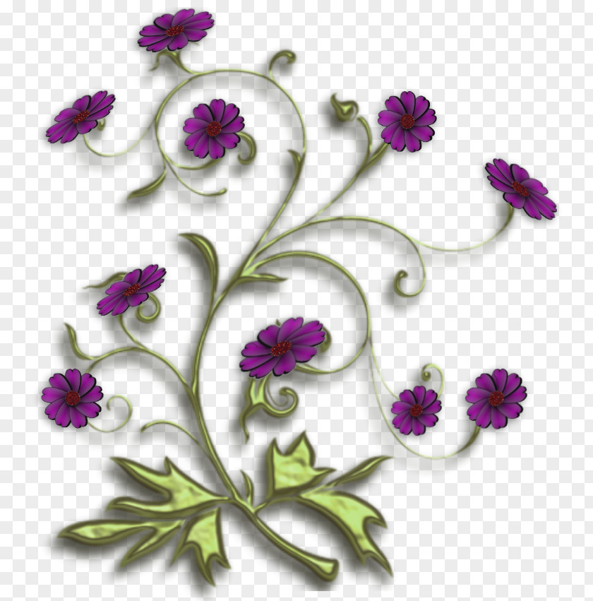 Design Floral Chrysanthemum Anemone Pattern PNG