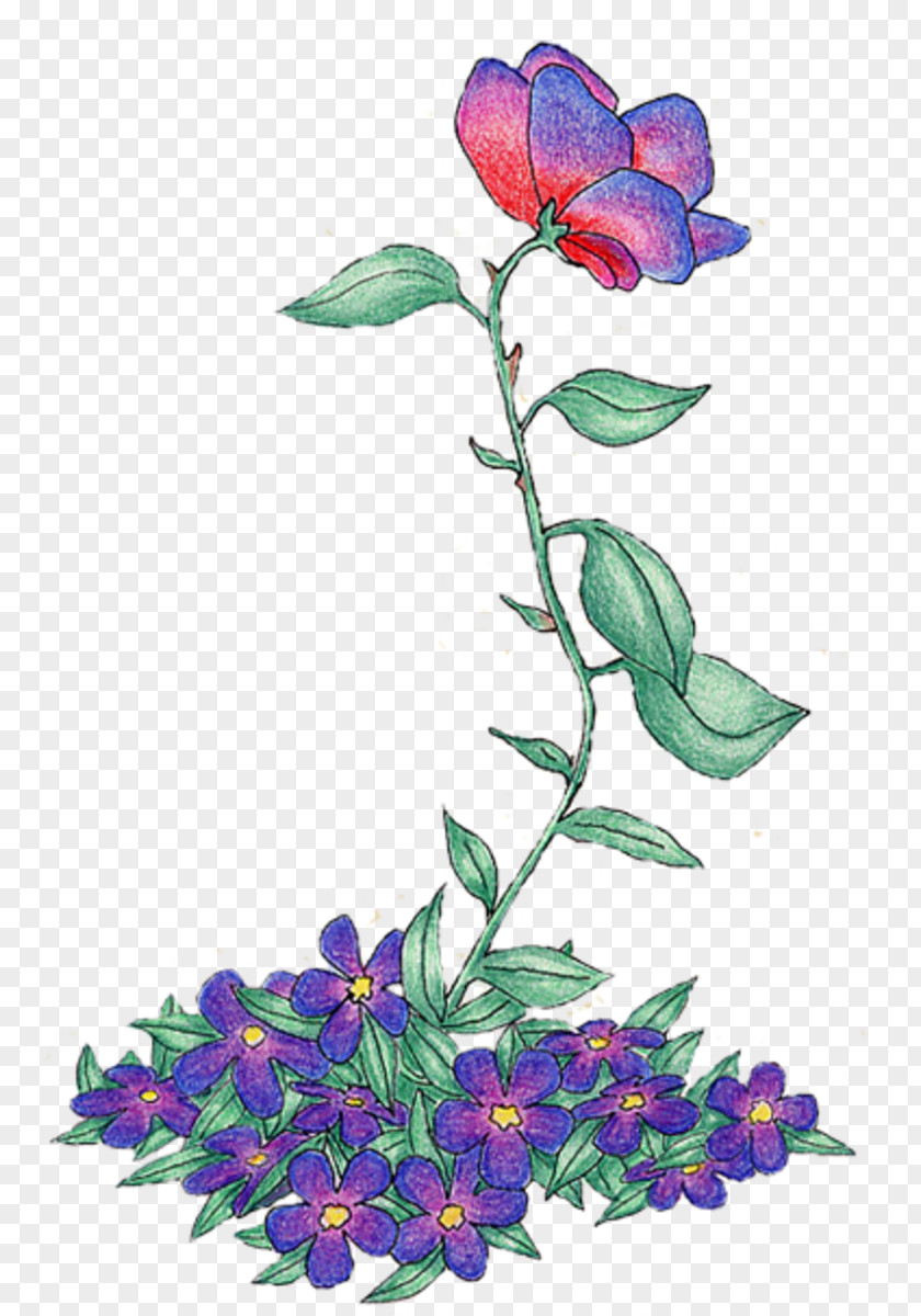 Flower Floral Design Cut Flowers Violet Rose Family PNG