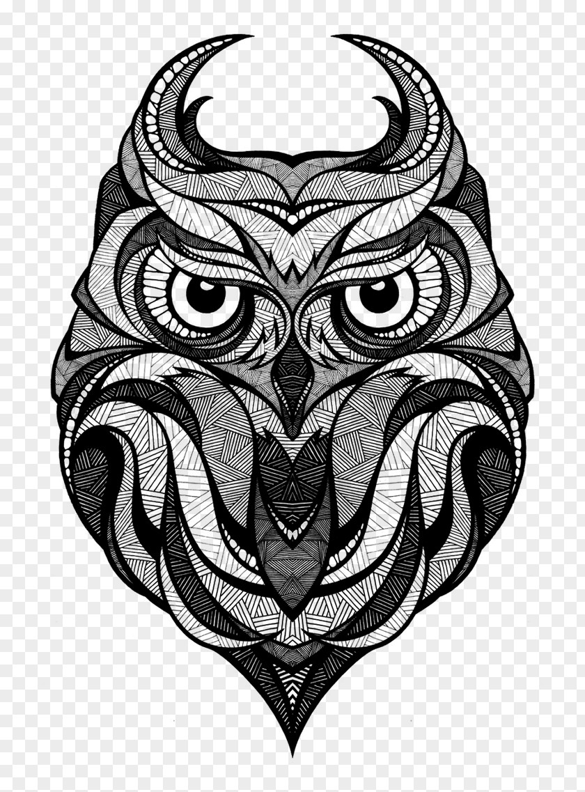 Inspired By The Green Skateboards Owl Drawing Bird Art PNG