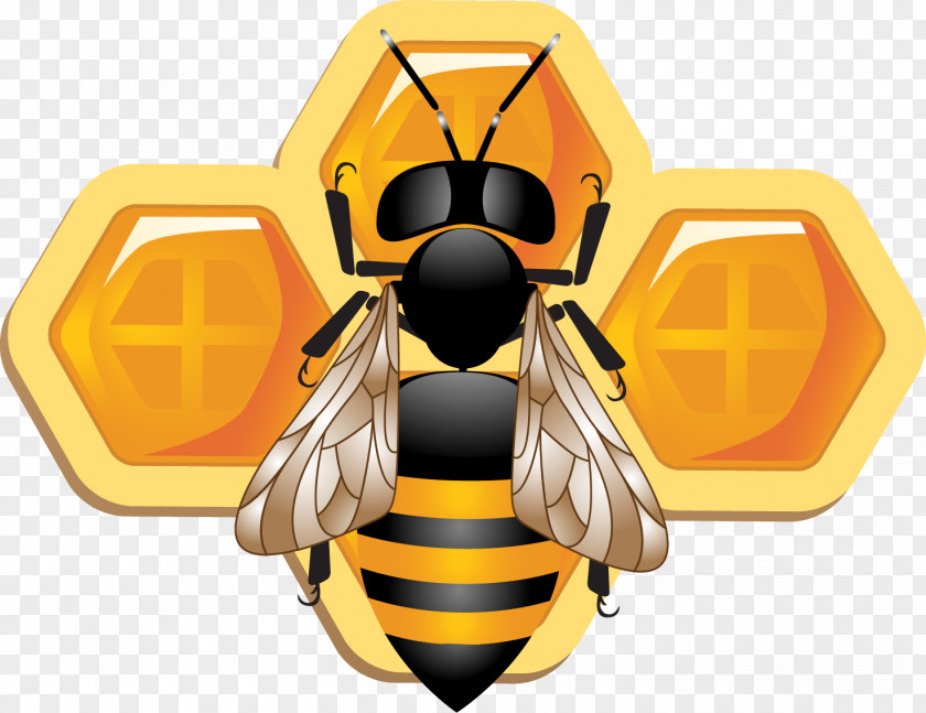 Nectar Bee Insect Honeycomb Adobe Illustrator PNG