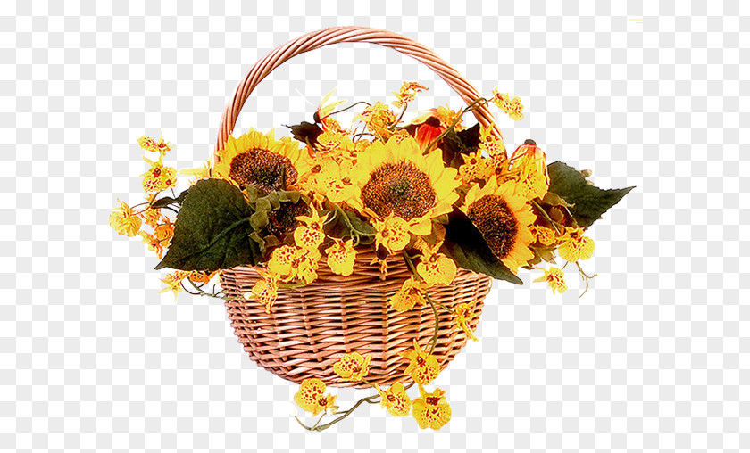 Sunflower Happiness Orkut Love Sunday PNG