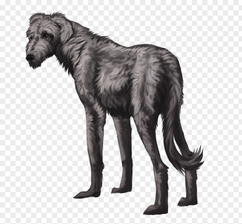 Huan Scottish Deerhound Gray Wolf Irish Wolfhound DeviantArt Drawing PNG