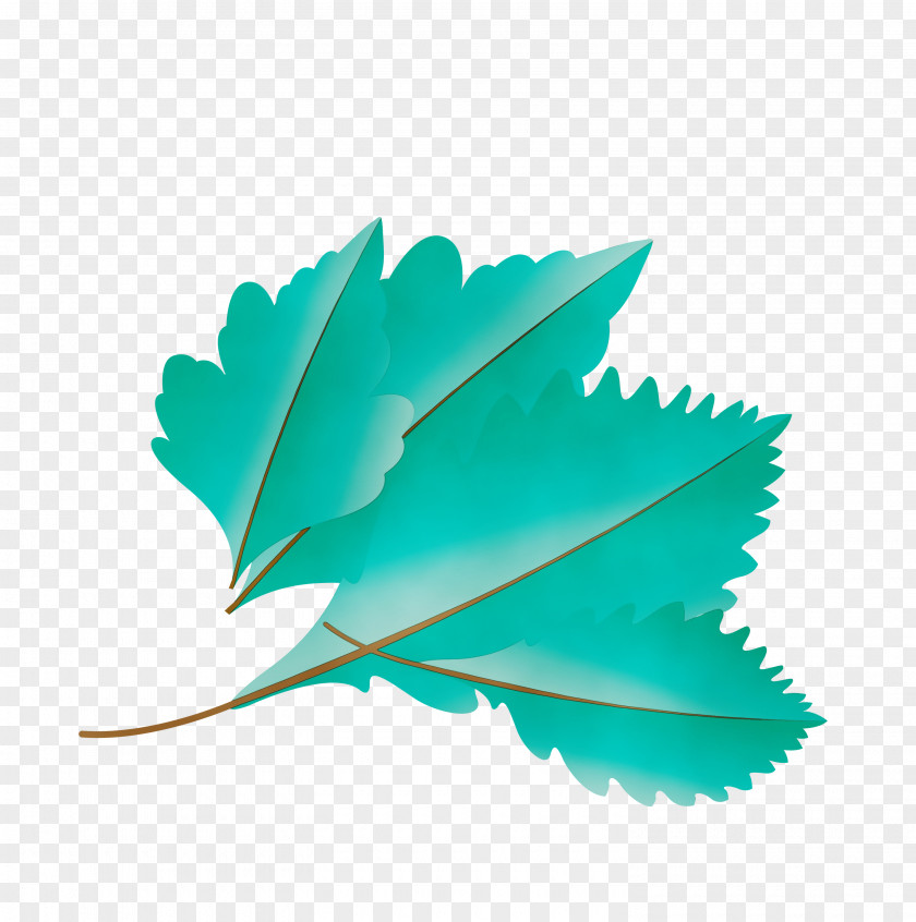 Leaf Green M-tree Turquoise Tree PNG