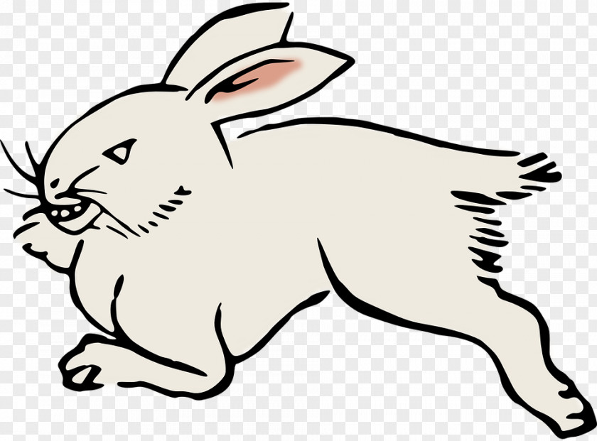 Long Running Rabbit Animal World Domestic Hare Clip Art PNG