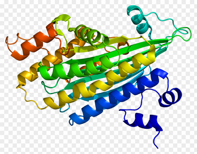 Coproporphyrinogen III Oxidase Coproporphyrinogens Protoporphyrinogen PNG