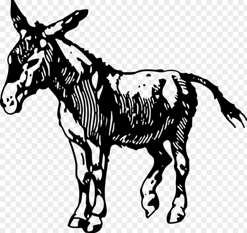 Donkey Drawing Clip Art PNG