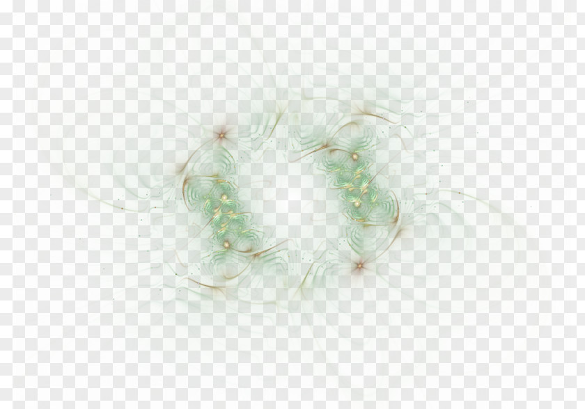 Green Simple Light Effect Element Feather Close-up PNG