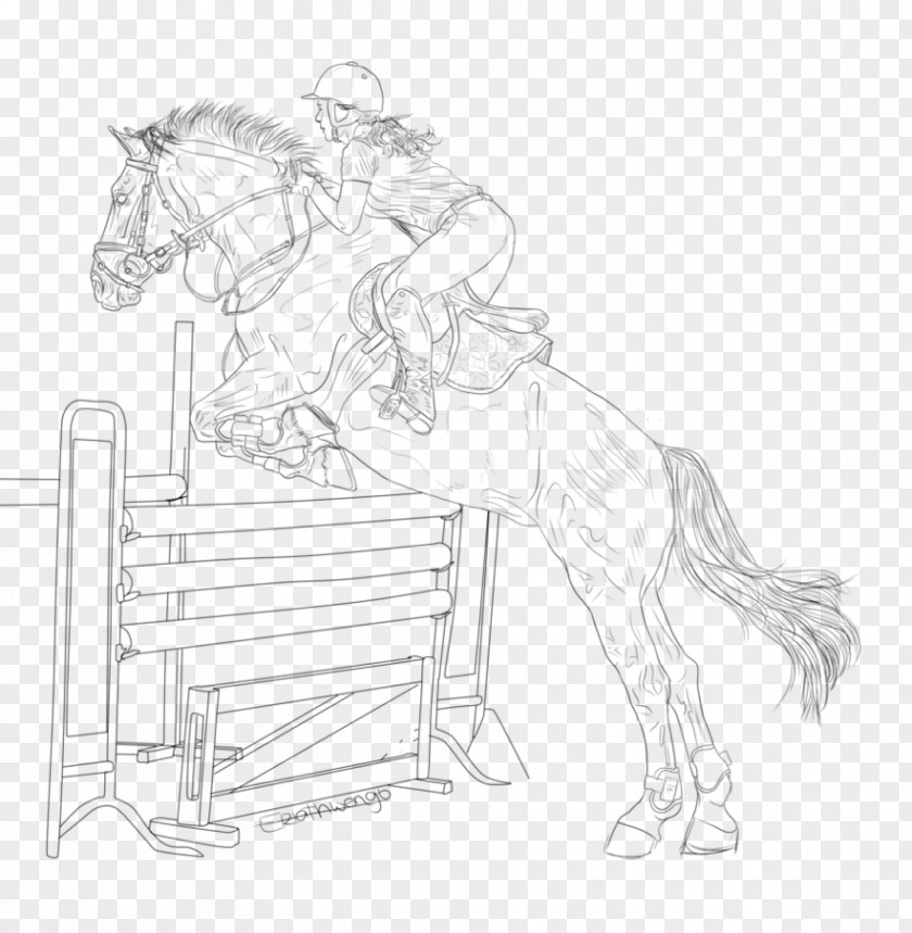 Horse Pony Line Art Mane Sketch PNG