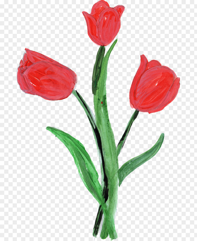 Painted White Flowers Tulip Microsoft Paint Flower Petal PNG