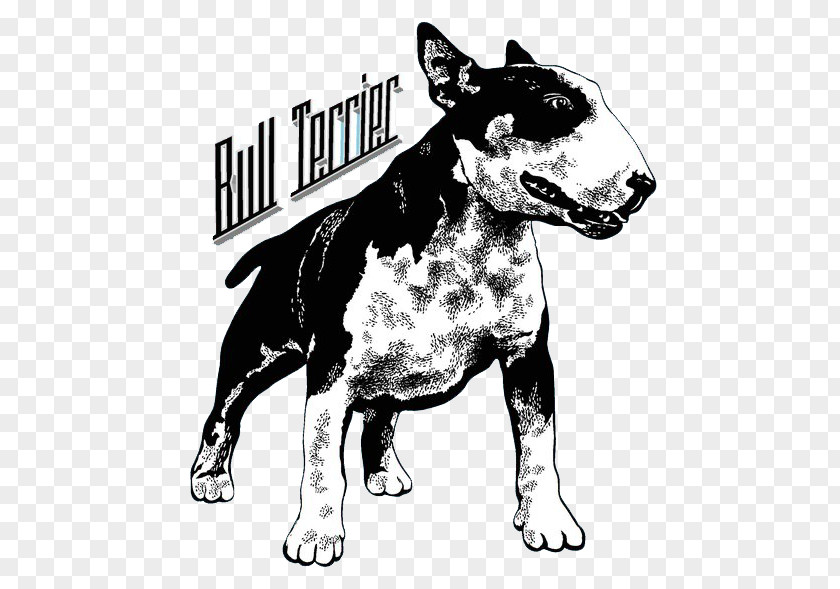 Printed Dog Vector Bull Terrier T-shirt Hoodie Sleeve Clothing PNG