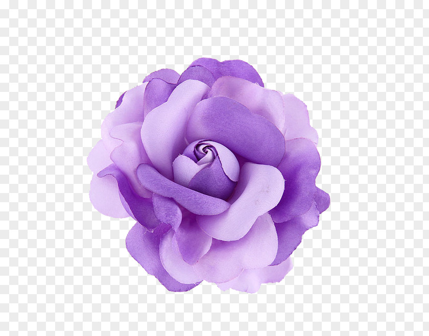 Purple Flower Violet PNG