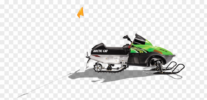 Chicks Arctic Cat Snowmobile Four-stroke Engine Sales PNG