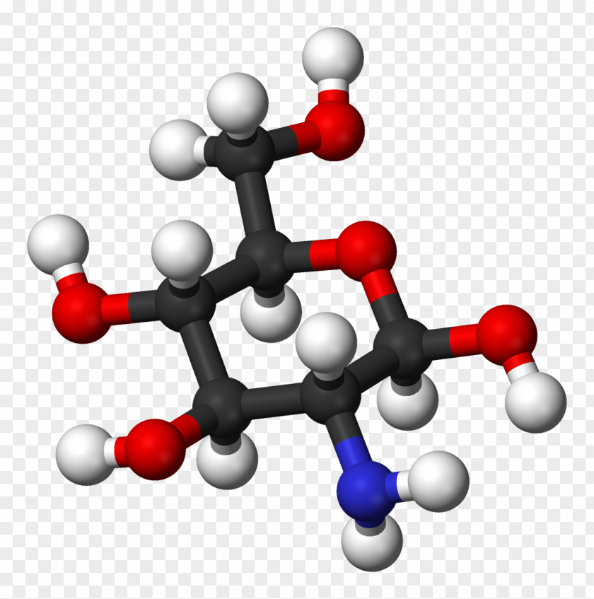 Health Glucosamine Monosaccharide Eating Organism PNG