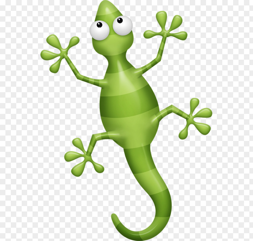 Lizard Chameleons Reptile Clip Art PNG