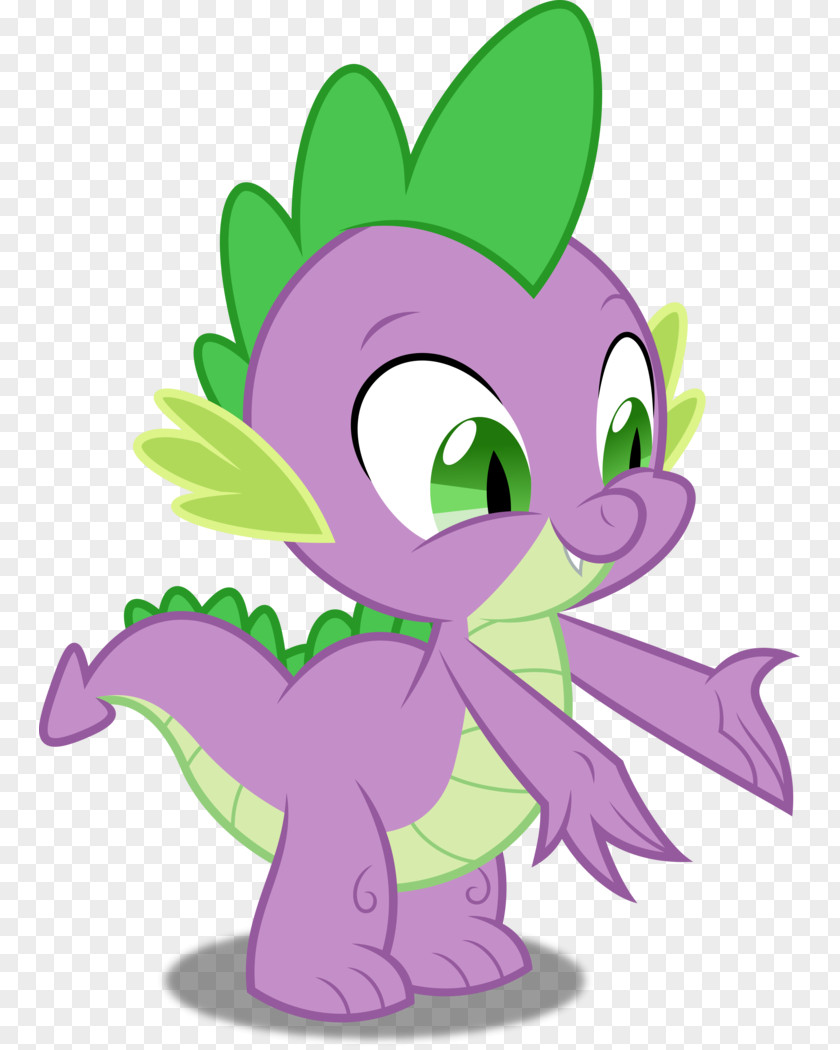 My Little Pony Spike Twilight Sparkle Rarity Rainbow Dash PNG