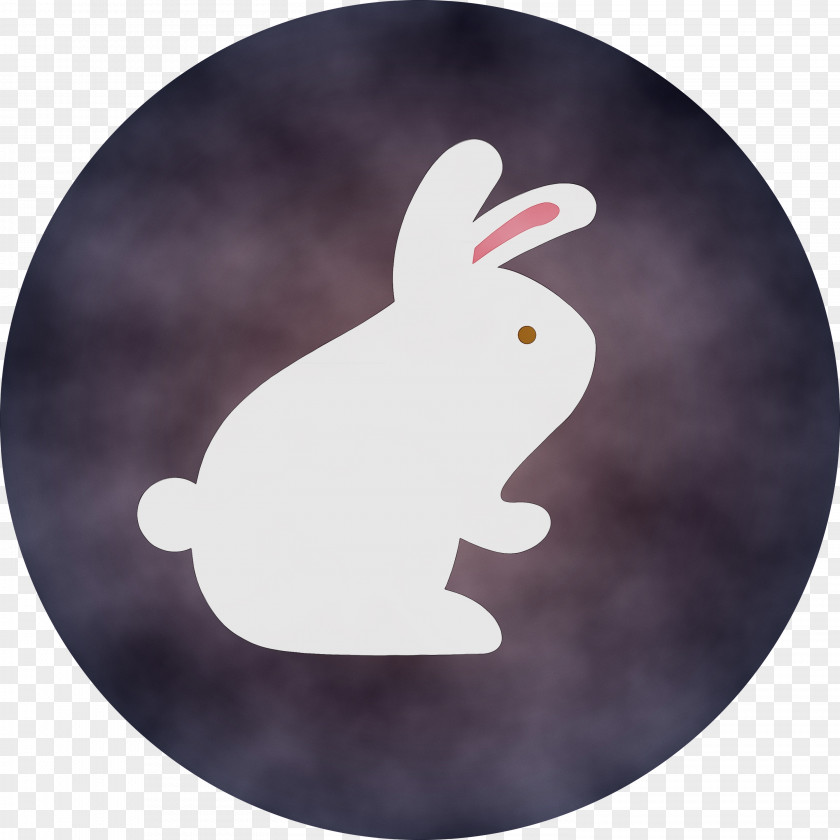 Rabbit Hares PNG