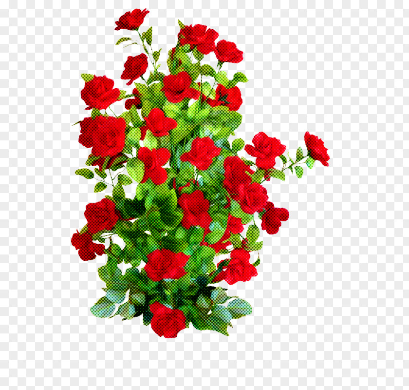 Rose Family Bouquet Garden Roses PNG