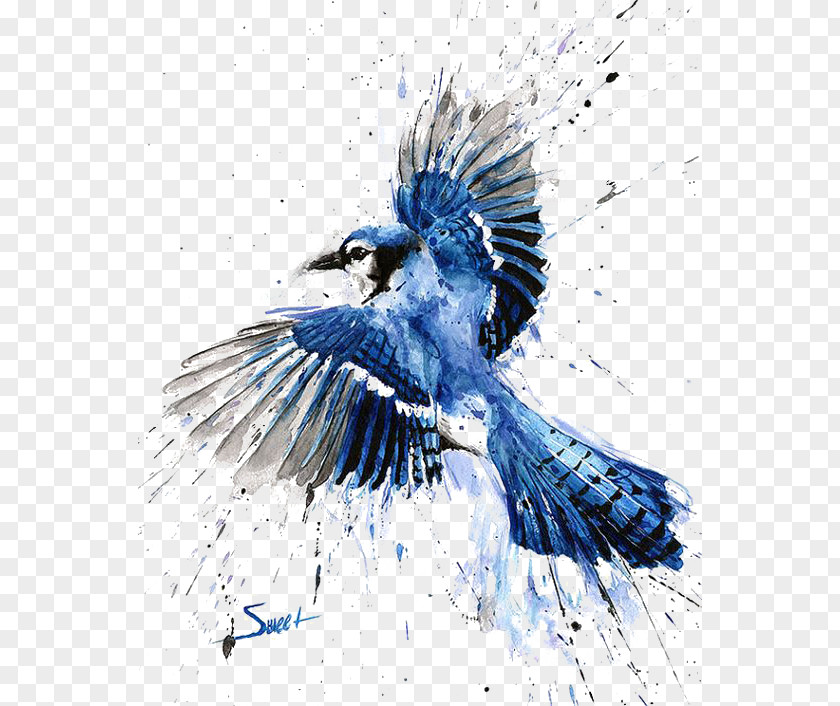 Sparrow Bird Blue Jay Watercolor Painting Art PNG