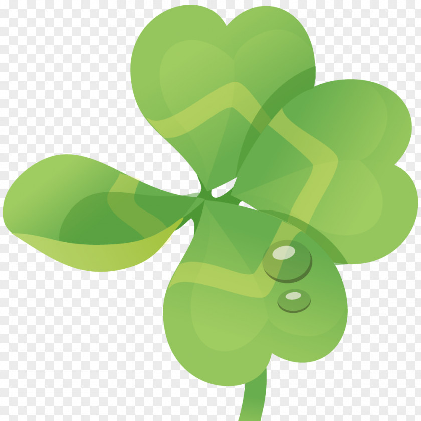 Water Droplets On Clover PNG