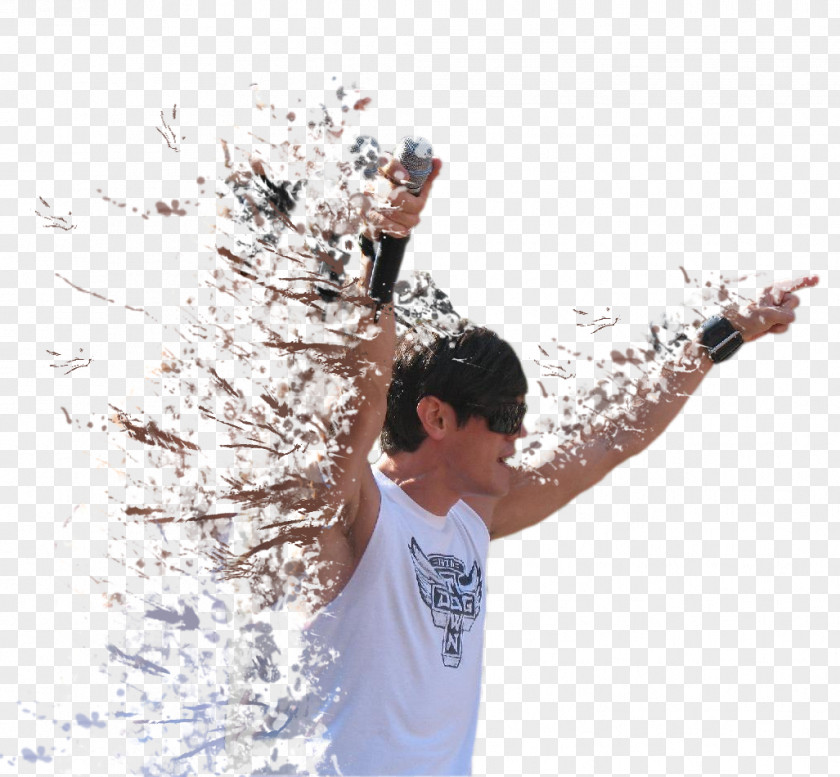 Water Tree PNG