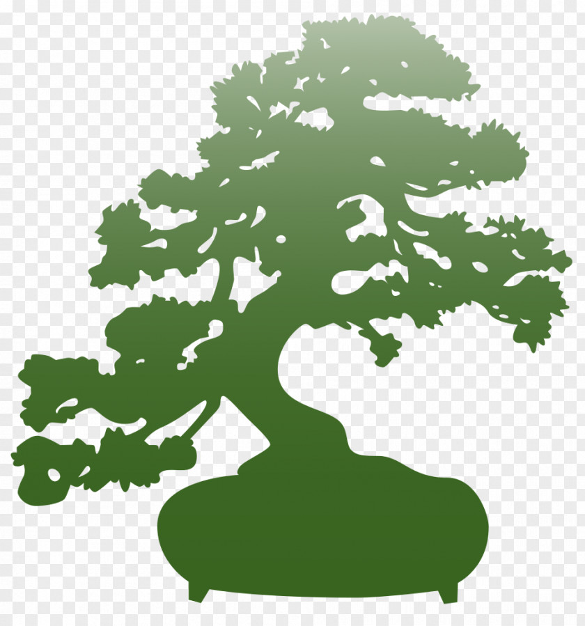 Bonsai The Karate Kid Tree Flowerpot Clip Art PNG