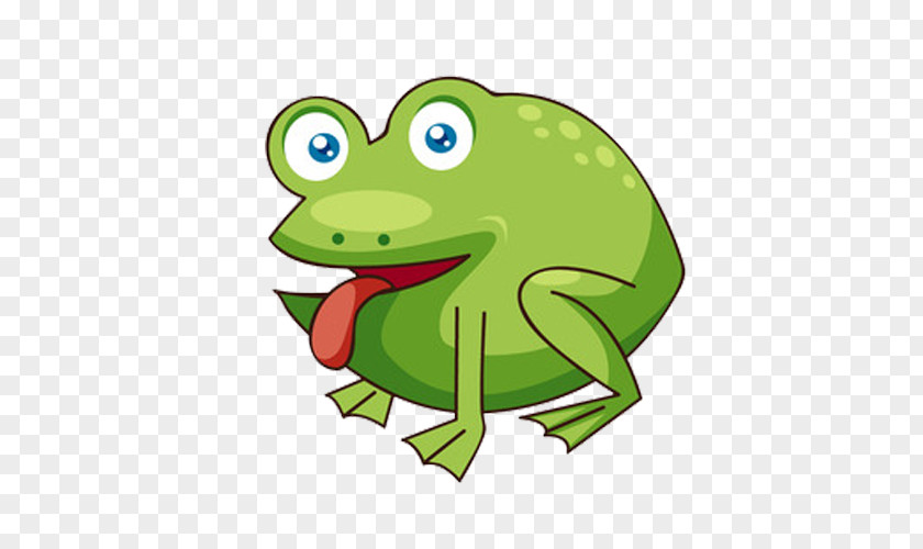 Cartoon Frog Drawing PNG