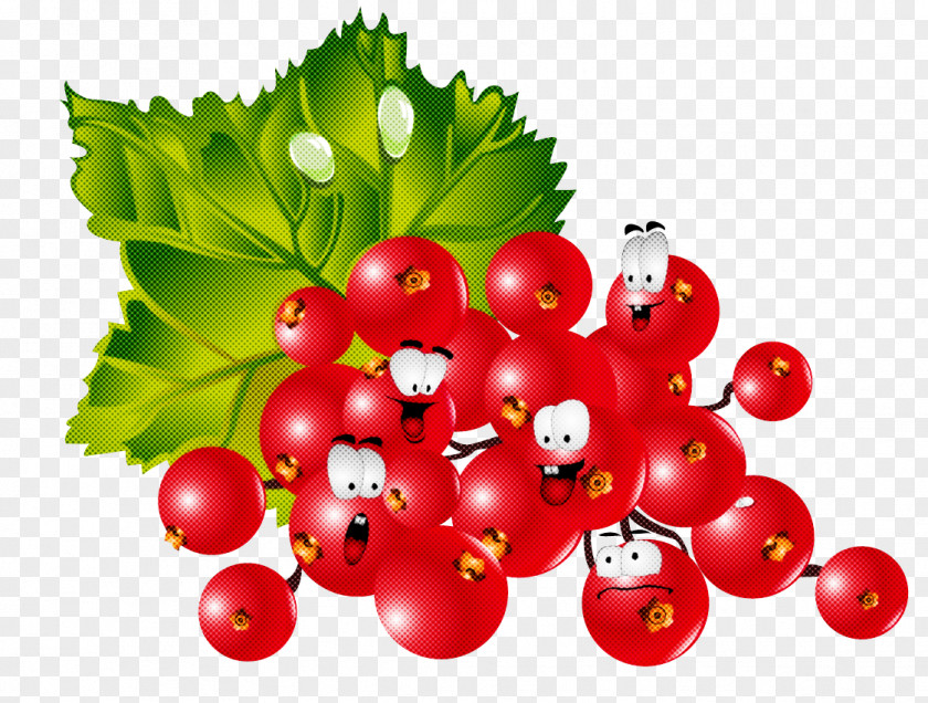 Currant Berry Plant Fruit Natural Foods PNG