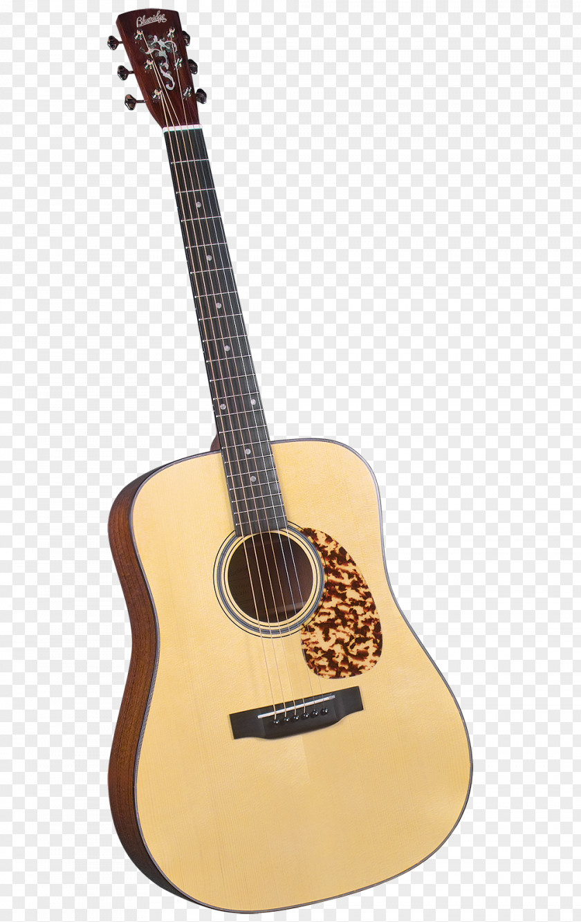 Guitar Steel Dreadnought Acoustic Musical Instruments PNG